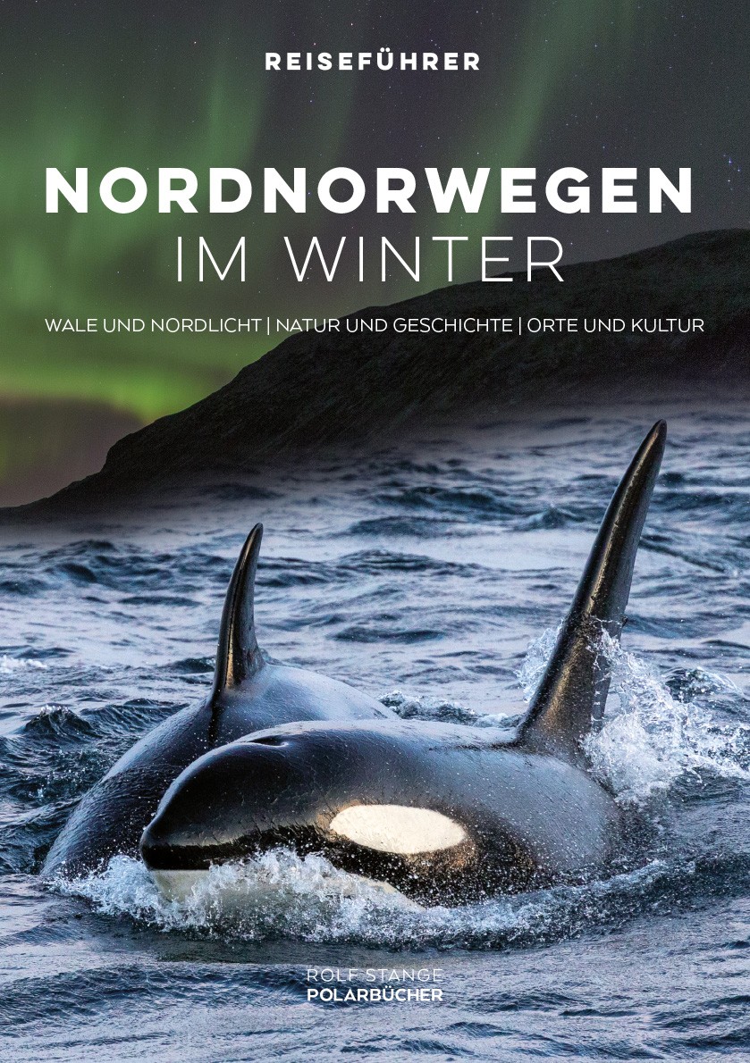 Travel guide: Northern Norway in winter. Whales and Northern Lights