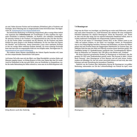 Travel guide: Northern Norway in winter. Whales and Northern Lights