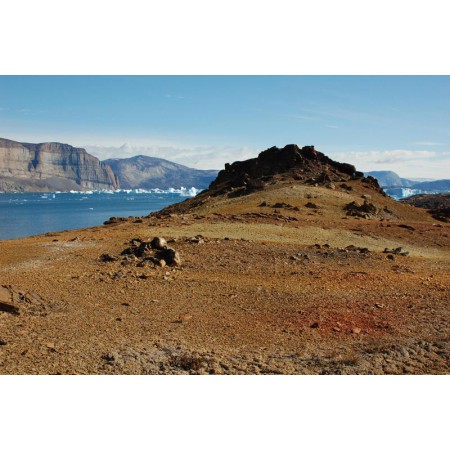 Greenland - a guidebook to the flowers