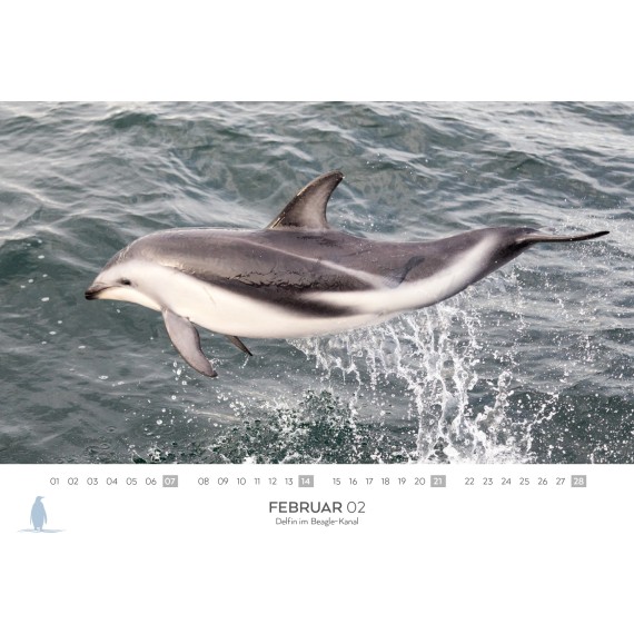 Spitsbergen & Patagonia calendar 2027 (double calendar)