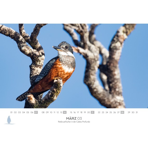 Spitsbergen & Patagonia calendar 2027 (double calendar)