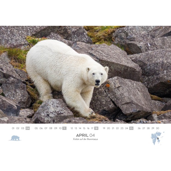 Svalbard & Patagonia kalender 2027