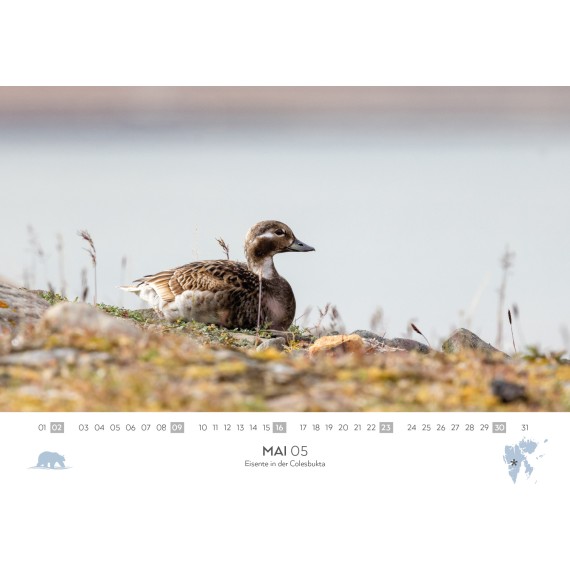 Spitsbergen & Patagonia calendar 2027 (double calendar)