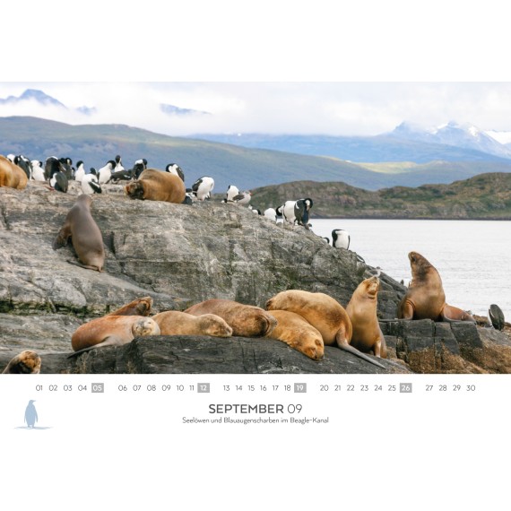 Spitsbergen & Patagonia calendar 2027 (double calendar)