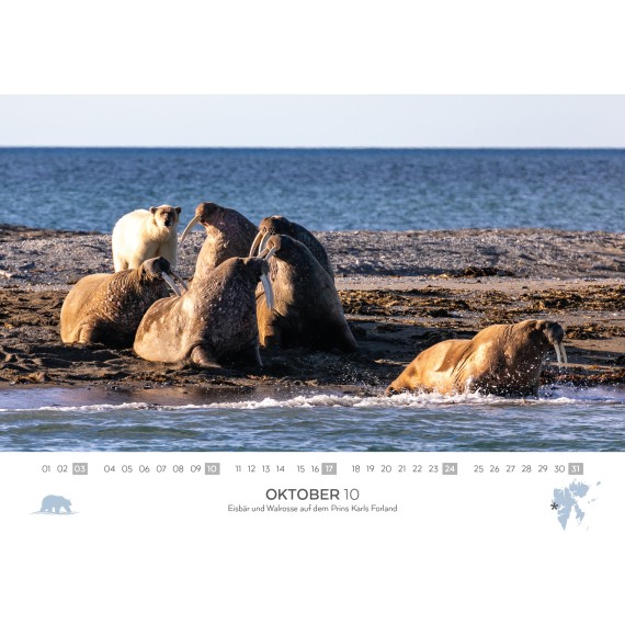 Spitsbergen & Patagonia calendar 2027 (double calendar)