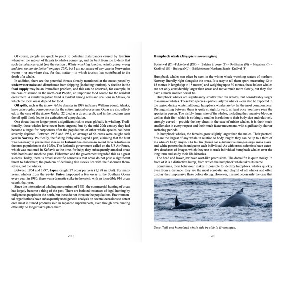 North Norway in Winter. Whales and northern lights, nature and history, places and culture
