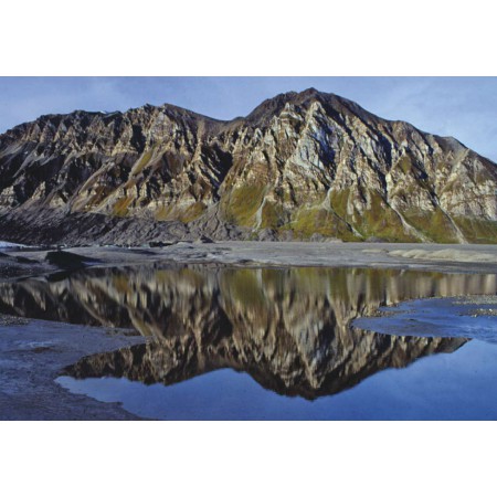 Die kleine Spitzbergenflora. Spitsbergen's vegetation and flowers (German)