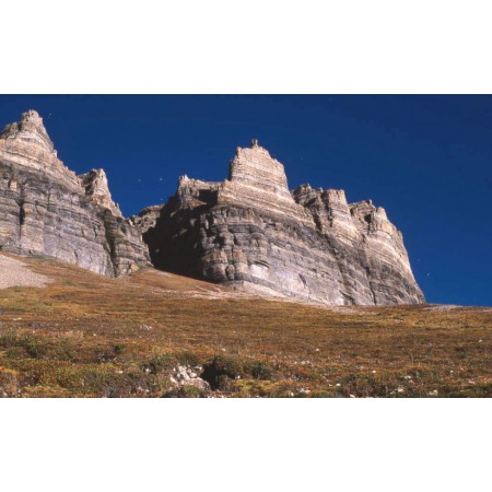 Die kleine Spitzbergenflora. Spitsbergen's vegetation and flowers (German)