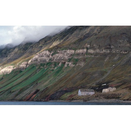 Die kleine Spitzbergenflora. Spitsbergen's vegetation and flowers (German)