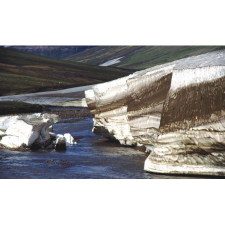 Die kleine Spitzbergenflora. Spitsbergen's vegetation and flowers (German)