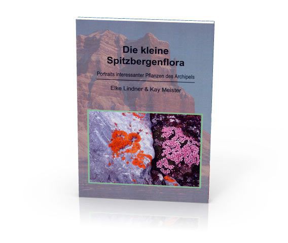 Die kleine Spitzbergenflora