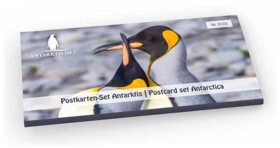 Limited edition postcard set Antarctic: tray, showing King penguins on South Georgia.