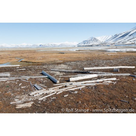 Spitsbergen driftwood picture frame: arctic driftwood