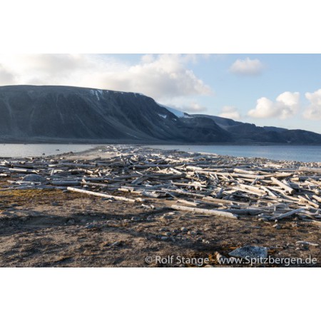 Spitsbergen driftwood picture frame: arctic driftwood