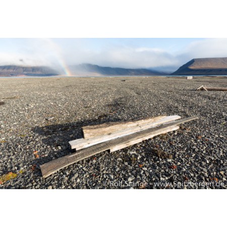 Spitsbergen driftwood picture frame: arctic driftwood