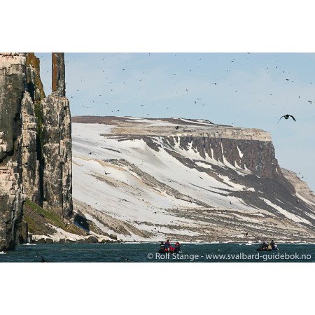Svalbard - Norge nærmest Nordpolen. Spitsbergen-guidebook (Norwegian)