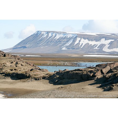 Svalbard - Norge nærmest Nordpolen. Norwegian Svalbard guidebook. Illustration: landscape at Andréetangen, Edgeøya