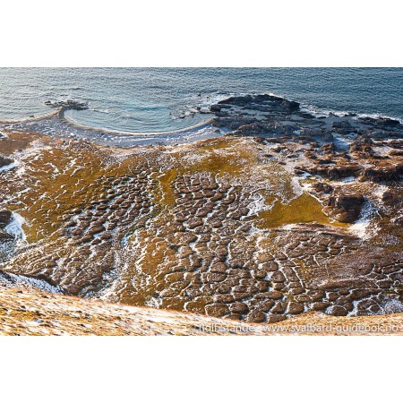Svalbard - Norge nærmest Nordpolen. Norwegian Svalbard guidebook. Illustration: tundra with ice wedges (permafrost), Bellsund