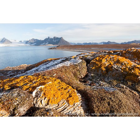 Svalbard - Norge nærmest Nordpolen. Spitsbergen-guidebook (Norwegian)