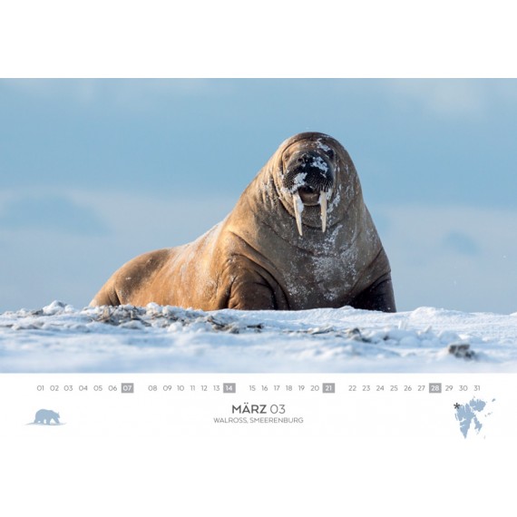 Doppelkalender 2021 Spitzbergen Und Antarktis Kalender Spitzbergen