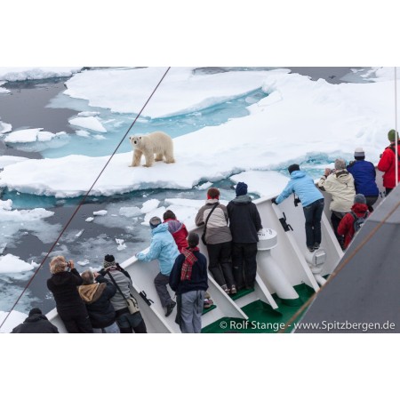 Spitsbergen – Svalbard. Een complete gids rondom de Arctische archipel