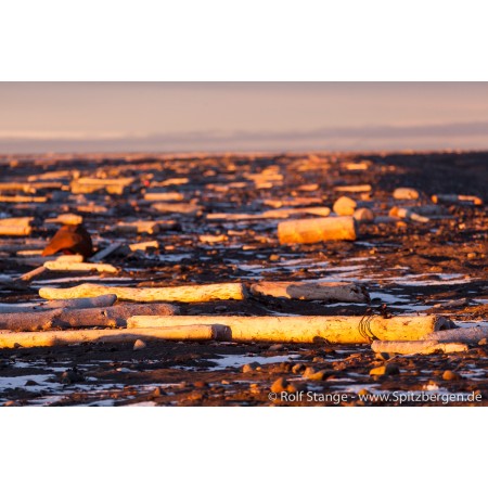 Spitsbergen – Svalbard. Een complete gids rondom de Arctische archipel