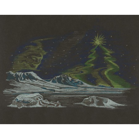 Arktische Weihnachten. The arctic Christmas book (German).
