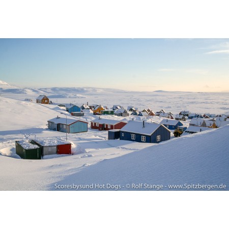 Scoresbysund Hot Dogs – Mit Hundeschlitten in Grönland.
