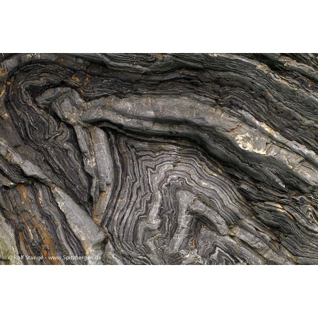 The Bear Island (Bjørnøya) book: geology, folded rock layers in Sørhamna