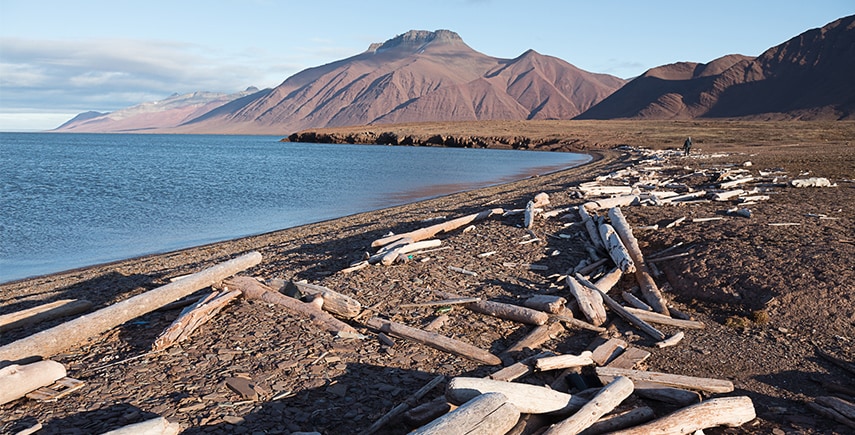 Rohmaterial für die Treibholz-Bilderrahmen made in Spitzbergen.